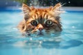 Sunny Cat summer swimming pool party. Generate Ai Royalty Free Stock Photo