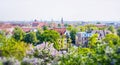 Sunny city summer landscape, lots of greenery, beautiful house and trees the foreground blooming lilacs