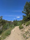 Sunny Clear Hiking Trail in Northern Colorado For Emmaline Lake in Forest Royalty Free Stock Photo