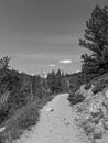 Sunny Clear Hiking Trail in Northern Colorado For Emmaline Lake in Forest Grayscale