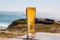 Sunny coastline and one beer glass of a tourist. Ocean view with fresh beer on natural background. Vacation concept Royalty Free Stock Photo