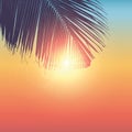 Sunny colorful summer holiday design with palm leaf