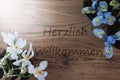 Sunny Crocus And Hyacinth, Herzlich Willkommen Means Welcome Royalty Free Stock Photo