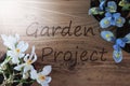 Sunny Crocus And Hyacinth, Text Garden Project