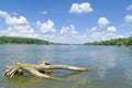 Sunny Danube Riverscape Royalty Free Stock Photo