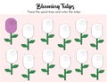 Preschool worksheet, trace the spiral lines and color the tulips.