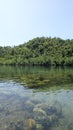 Sunny day above the surface of coral reef of raja ampat, transparent water, algae and corals