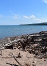 Driftwood along the Lake Superior shore Royalty Free Stock Photo