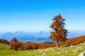 Sunny day in autumn mountains. View from Serra Di Crispo, Pollino National Park, southern Apennine Mountains, Italy. Royalty Free Stock Photo