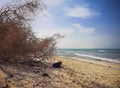 Sunny day on a beach, Cape Verde