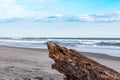 Sunny day at the beach, Costa del Sol, El Salvador, Central America. Pacific Ocean.