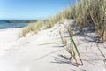 Sunny Day on the Beach