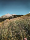 The relief of the Maurienne valley in Savoie Royalty Free Stock Photo