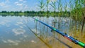 Summer fishing on the forest lake