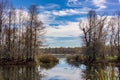 Sunny day at the Brazos Bend State Park Royalty Free Stock Photo