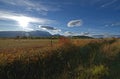 Sunny Day in the Bulkley Valley Royalty Free Stock Photo