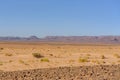 Dunes in the desert of Sahara, Morocco. Royalty Free Stock Photo