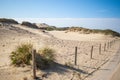 Sunny day in the dunes at Kijkduin The Hague, The Netherlands Royalty Free Stock Photo