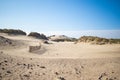 Sunny day in the dunes at Kijkduin The Hague, The Netherlands Royalty Free Stock Photo