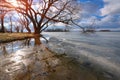 On a Sunny day in early spring on the lake. Melting ice on the lake surface. The tree bent over the water and reflected. Blue sky Royalty Free Stock Photo