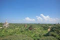 Sunny Bagan temple plains Royalty Free Stock Photo