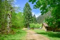 Sunny day in the Forest. Mountain Landscape in Cares Trekking Route, Asturias