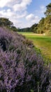 Sunny day at a golfcourse