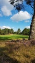 Sunny day at a golfcourse