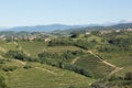 A sunny day in GoriÃÂ¡ka Brda, Slovenia