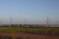 Sunny day with green grass and blue sky. Young trees. Reidi tee promenade. Modern space for walking and rest in a city