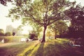 Sunny day in green park with relaxing people in Berlin