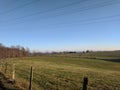 Sunny Day in Januar In the Fields Walking