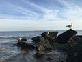 Sunny Day in July at Coney Island Beach in Brooklyn, New York, NY. Royalty Free Stock Photo