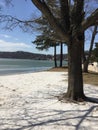 Sunny Day Lakefront Beach On Melting Ice Covered Lake