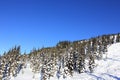 Sunny day in a winterwonderland in beautiful whistler in canada, british columbia Royalty Free Stock Photo