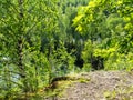 Sunny day in the Marble limestone canyon