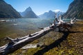 Sunny day in Milford Sound, Fiordland, New Zealand