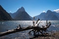 Sunny day in Milford Sound, Fiordland, New Zealand