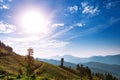 Sunny day. Mountains. Landscape. Nature. Blue sky. Trees Royalty Free Stock Photo