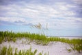 Sunny day at National Seashore in Pensacola