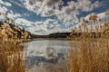 Sunny day in nature. Blue sky with clouds.Beautiful water reflections. Spring autumn countryside. Pond with high dry grass. Lake Royalty Free Stock Photo