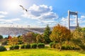 Sunny day in Otagtepe park, view on the Second Bosphorus Bridge, Istanbul, Turkey Royalty Free Stock Photo