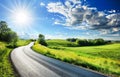 Sunny Day Over a Curved Country Road in a Lush Green Landscape Royalty Free Stock Photo