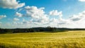 Sunny day over the golden field Royalty Free Stock Photo