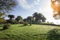 Sunny day in the park. Grass, trees, bushes, clouds