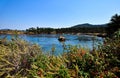 Sunny Day at Point Lobos State Reserve - California, USA Royalty Free Stock Photo
