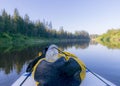 Sunny day on the river, stand up board on the river bank, tree reflections in the water, blue sky reflected in the river water Royalty Free Stock Photo