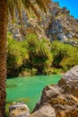 Sunny day at river stream and palm tree forest, Preveli, Crete, Greece