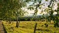 A sunny day in the Saarland with a view over meadows into the valley. Birch and fence in the foreground Royalty Free Stock Photo
