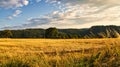 A sunny day in the Saarland with a view over meadows into the valley. Field in the foreground Royalty Free Stock Photo